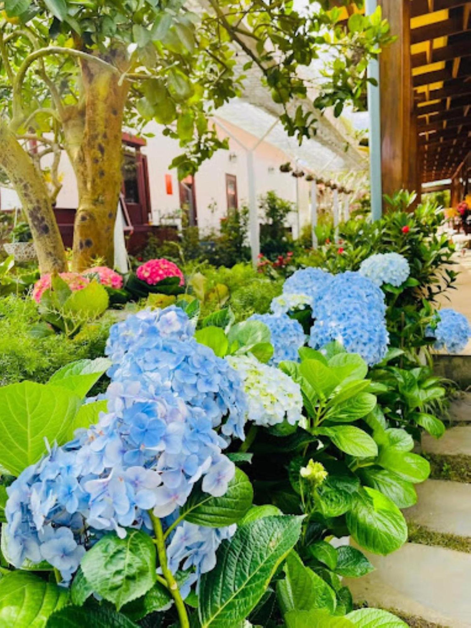 Vuon Tra Homestay Mang Den Kon Von Kla Exterior foto