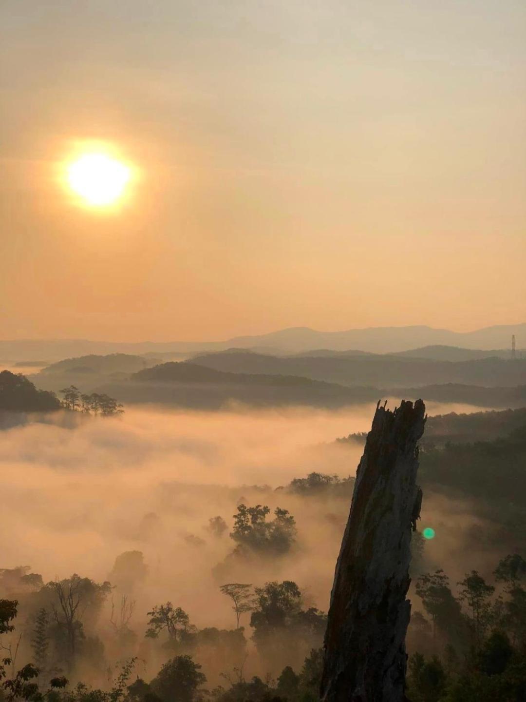 Vuon Tra Homestay Mang Den Kon Von Kla Exterior foto